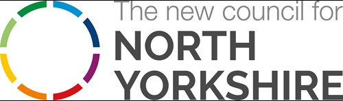 New council for North Yorkshire logo